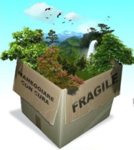 fragile